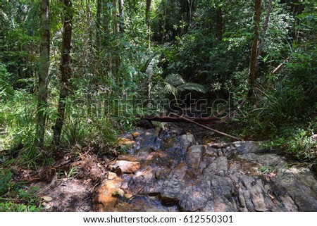 Penang National Park Taman Negara Pulau Pinang Flora And