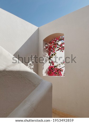 Similar – Image, Stock Photo Facade with shadow Branch