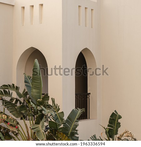 Modern east style building with beige walls, windows and tropical palm plant leaves. Aesthetic abstract minimal architecture facade design concept background Stock foto © 