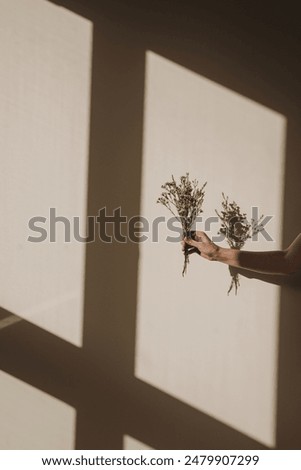 Similar – Image, Stock Photo shadow plays detail