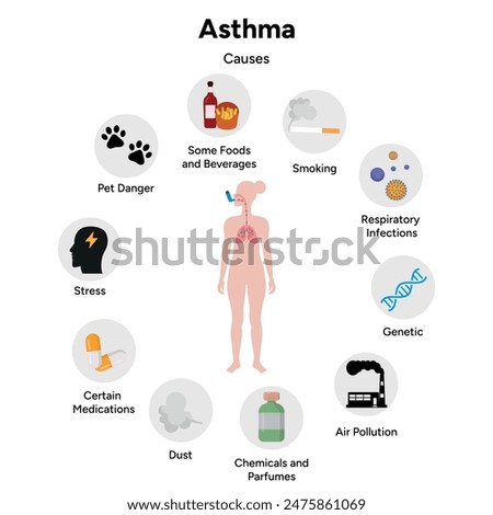 Human Asthma disease and causes