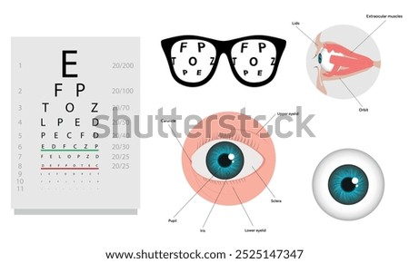 Ophthalmology oculist set vision correction eye anatomy with exam table 