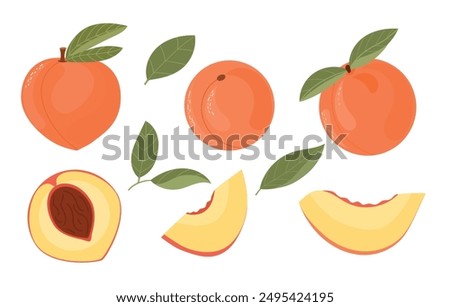 Set of colorful peaches with leaves. Hand drawn illustration of fruit. Half, slice and whole peach, nectarine. Vector illustration, isolated on white background. Flat style.