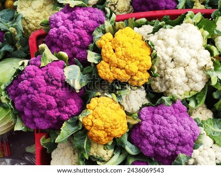 Similar – Image, Stock Photo Cauliflower variety on multi-colored background