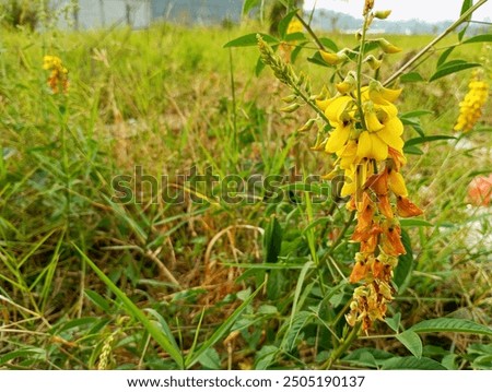 Similar – Image, Stock Photo unused land in the middle of the city