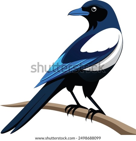  vector magpie bird sitting on tree branch