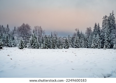 Similar – Image, Stock Photo Forest in snowy landscape, Galicia, Spain.