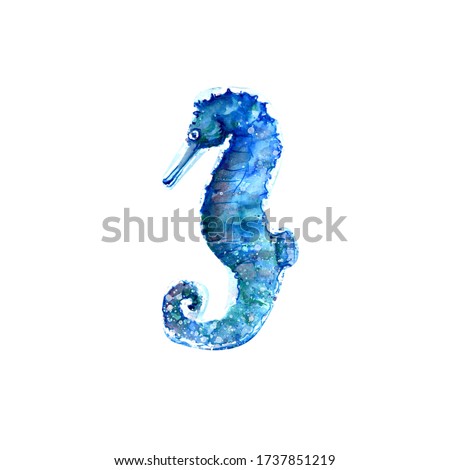 Aquarelle painting of seahorse sketch art pattern illustration