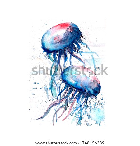 Aquarelle painting of jellyfish sketch art illustration