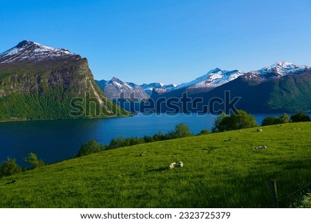 Similar – Image, Stock Photo mold Nature Landscape