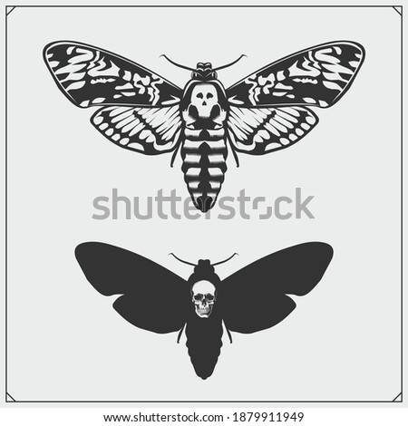 Memento mori. Butterfly and skull. Brevity of human life. Print design for t-shirt.
