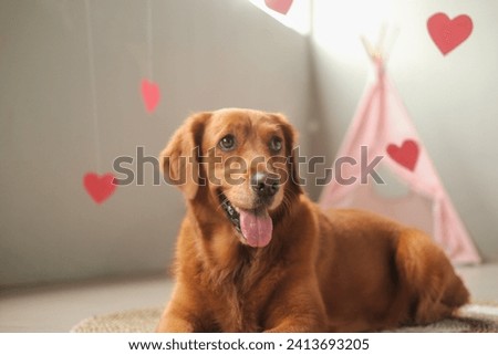 Similar – Image, Stock Photo Animal love | Doggy