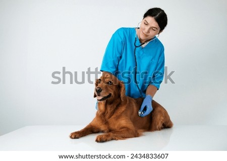 Similar – Image, Stock Photo Female veterinarian doctor uses ear drops to treat a cat