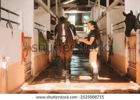 Similar – Image, Stock Photo beautiful brown horse portrait in the meadow