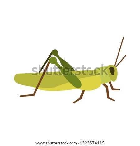 grasshopper flat icon.You can be used grasshopper icon for several purposes like: websites, UI, UX, print templates, presentation templates, promotional materials, web and mobile phone apps