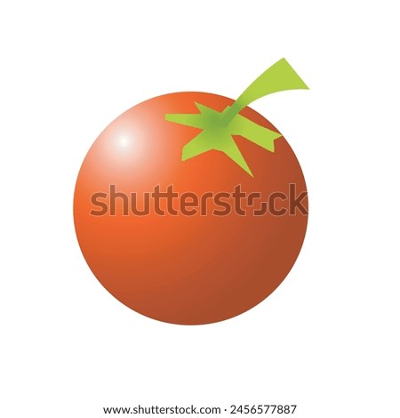 Tomato illustration on white background.