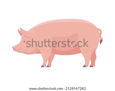 Big fat pig. Vector illustration of big fat pig isolated on white background. Flat style, side view.