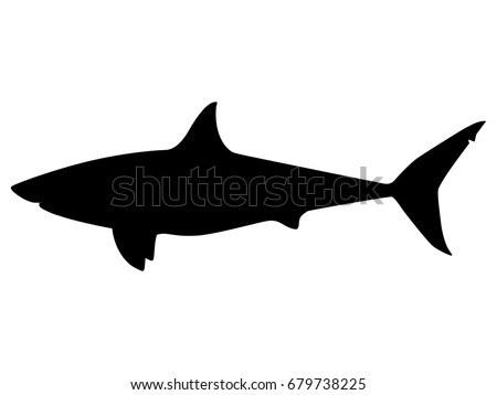 Vector illustration of a black silhouette shark. Isolated white background. Icon fish shark side view profile.