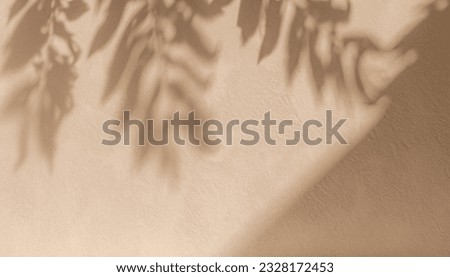 Similar – Image, Stock Photo Shadow of a plant in the wild
