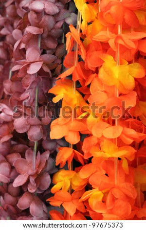 Hawaii flowers