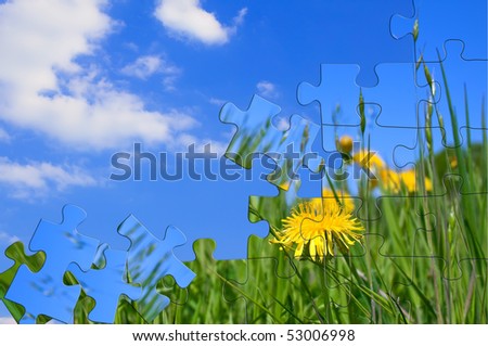 Green meadow with dandelions. Puzzle.