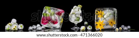 Similar – Image, Stock Photo Ice cube with daisies