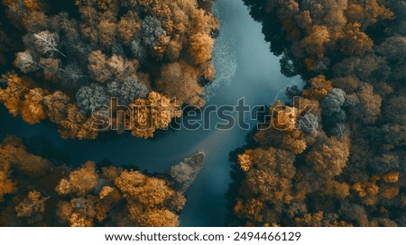 Image, Stock Photo River in autumn Autumn