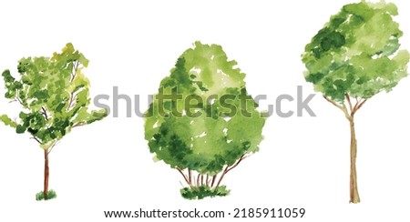Vector hand drawn tree watercolor illustration on white background. Stock foto © 