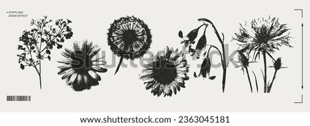 Trendy elements with a retro photocopy effect. y2k elements for design. Flowers, chamomile, sunflower, dandelion. Grain effect and stippling. Vector dots texture.