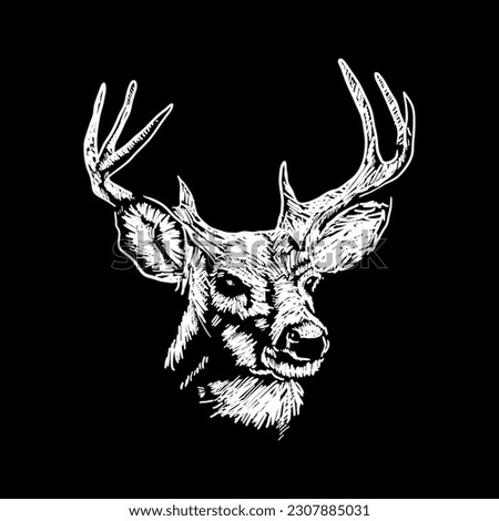 Whitetail Buck Drawing | Free download on ClipArtMag