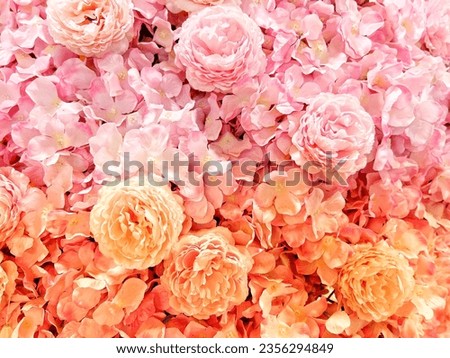 Image, Stock Photo Orange and Pink flowers in garden