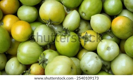 Similar – Image, Stock Photo Fresh harvest bio GMO-free potatoes