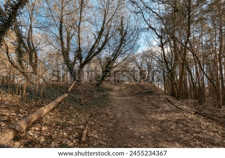 Similar – Foto Bild Rodeln in Berlin im Britzer Garten