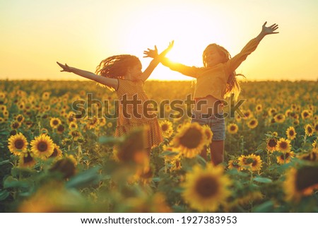 Similar – Image, Stock Photo Light in August flowers