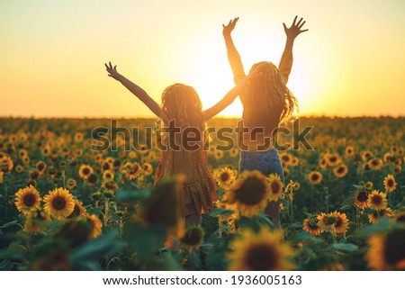 Similar – Image, Stock Photo Sunflower field at sunset