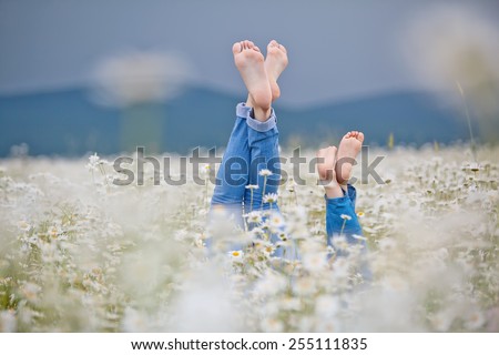 Healthy feet of family with daisy flowers on green grass against blurred spring background. Farmland vacations concept