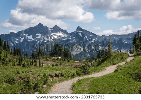 Similar – Image, Stock Photo Hiking trail through a beech forest