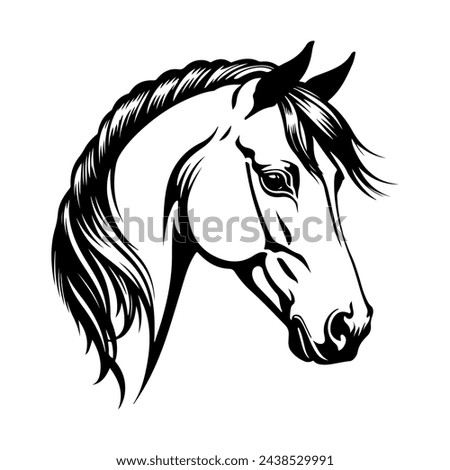 Vector silhouette of a Horse's head