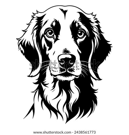 Similar – Image, Stock Photo Cute English Setter in countryside
