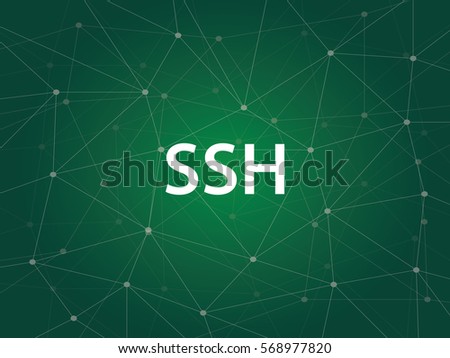 ssh - Secure Shell usually used for remote login and encrypted file transfers