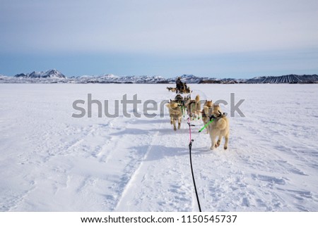 Similar – Image, Stock Photo Husky sledding over a frozen lake at sunset