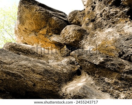 Similar – Image, Stock Photo Forest lake with groynes