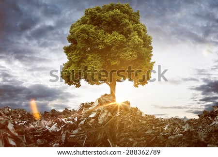 Tree grows between Mountains of Trash