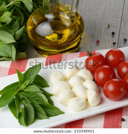 Caprese salad in shape of Italian flag on the white plate