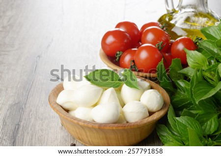 Mozzarella cheese, cherry tomatoes, basil leaves and olive oil - caprese salad ingredients