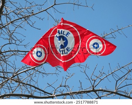 Similar – Image, Stock Photo Kite caught on tree kites