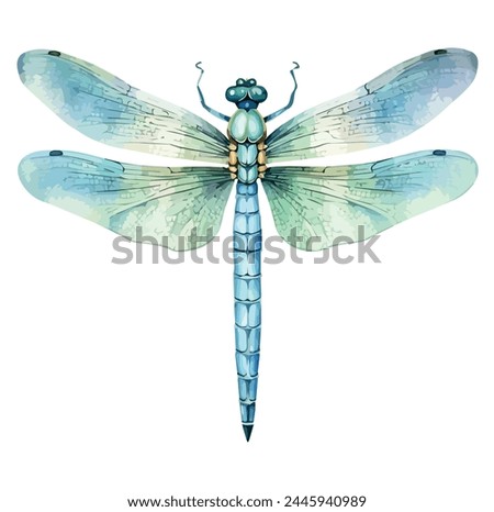 Watercolor Painting vector of a dragonfly, isolated on a white background, drawing clipart, Illustration Vector Graphic, design logo.