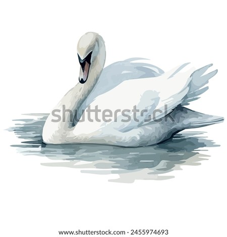 Watercolor vector of a swan , isolated on a white background, design art, drawing clipart, Illustration, swan painting, Graphic logo, swan vector.	
