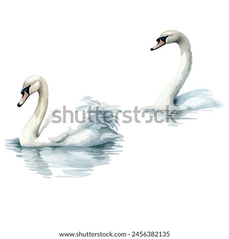 Similar – Image, Stock Photo Swan lake