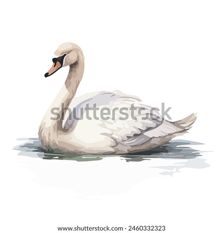 Similar – Image, Stock Photo Swan in the lake